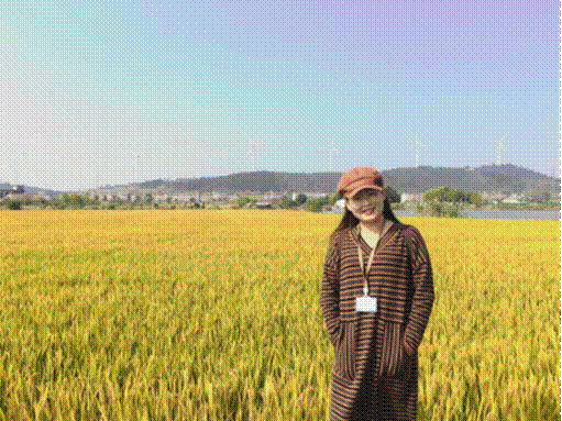 名师图像 名师图像